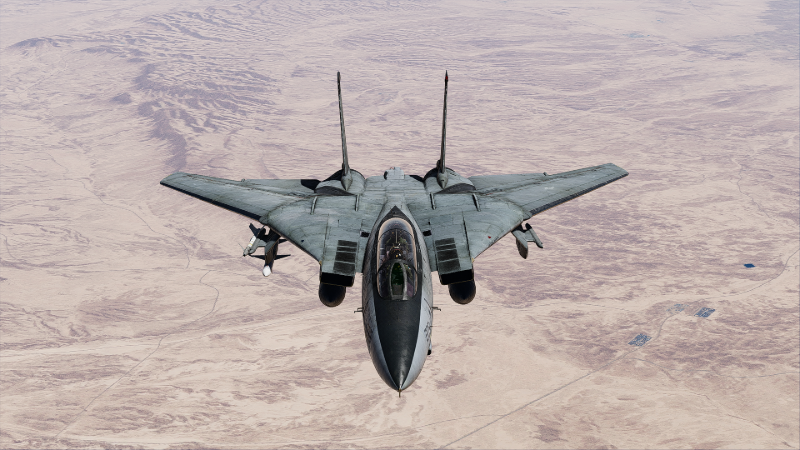 F-14 Tomcat